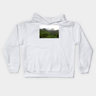 Iao Valley State Park Study 5 Kids Hoodie